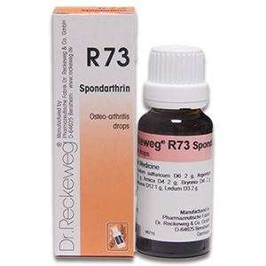 Dr. Reckeweg R 73 Drops for the Joints