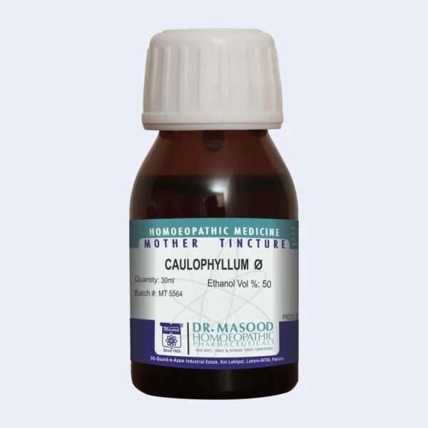 CAULOPHYLLUM THALICTROIDES Q