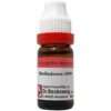 Dr.Reckeweg Belladonna 200 (11ml)