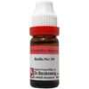 Dr.Reckeweg Bellis Perennis 30 (11ml)