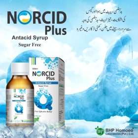 BHP Norcid Plus Syrup For Gastric Trouble 