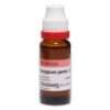Dr.Reckeweg Syzygium Jamb Q 20 ml