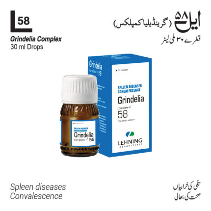 Lehning L 58 Grindelia Complex for Spleen Disease and Convalescence
