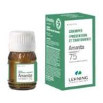Lehning Amanita o complexe n 75