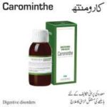 Lehning CAROMINTHE DROPS