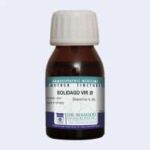 Masood SOLIDAGO VIRGAUREA Q
