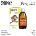 Lehning TONIC VEGETAL SYRUP 90ml
